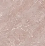 Rosa PK9083