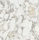 Sienna White PK9089