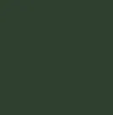 Bottle Green 