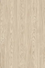 Baltic Ice Oak 