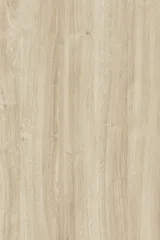 Classic Oak 