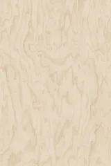 Birch plywood 