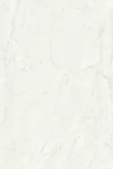 Calacatta Marble 