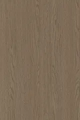 Dąb Fierra Taupe PS3148