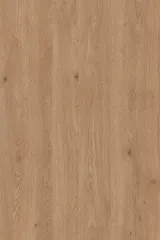 Dąb Florale Biscotto PS3138