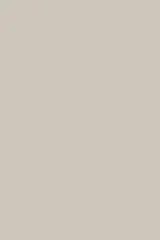 Cashmere Beige 