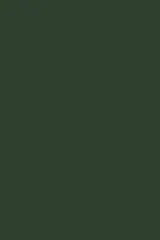 Bottle Green 