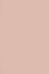 Millennial Pink 