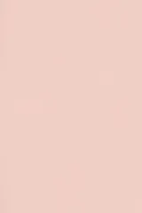 Description Millennial Pink undefined