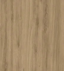 Taiga Oak 