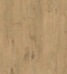 Lancelot Oak 