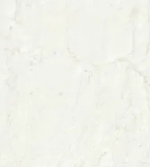 Calacatta Marble 