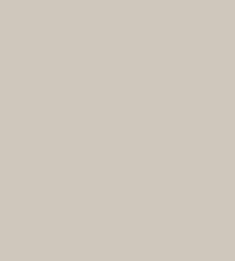 Cashmere Beige 