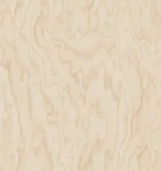 Birch plywood 
