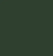 Bottle Green 