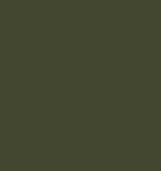 Description Olive green undefined