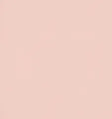 Description Millennial Pink undefined