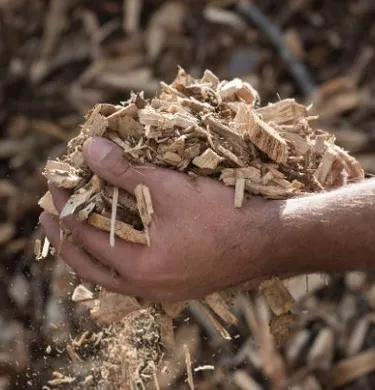 Dajemy drewnu drugie życie – *tworzymy wartość w każdym cyklu życia surowca*