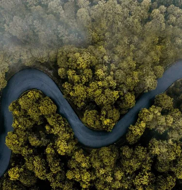 Nasze działania *w trosce o środowisko*