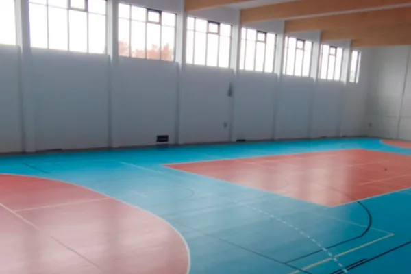 Hala Sportowa Bralin, Realization image 0