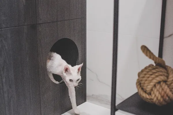 Wohnung in der Franciszkański-Siedlung, Impressionen 3