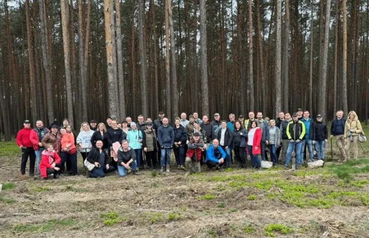 Pracownicy Woodeco sadzący sosny rychtalskie w pobliżu zakładu w Wieruszowie.