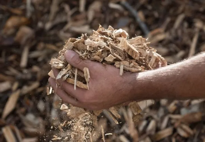 Dajemy drewnu drugie życie – *tworzymy wartość w każdym cyklu życia surowca*