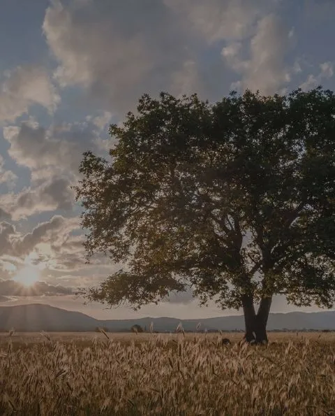 Zdjęcie przedstawiające piękno natury, które inspiruje nas do działań na rzecz ochrony środowiska.